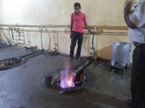 Biogas burner